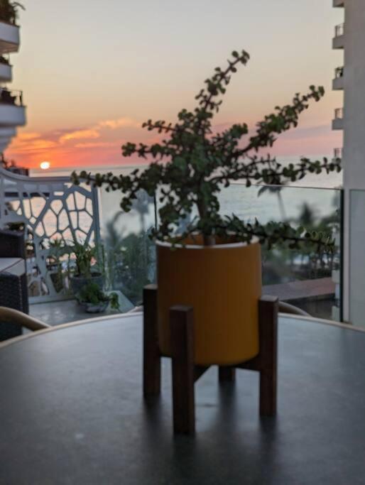 Ocean View Penthouse In P.V. Romantic Zone Пуэрто-Вальярта Экстерьер фото
